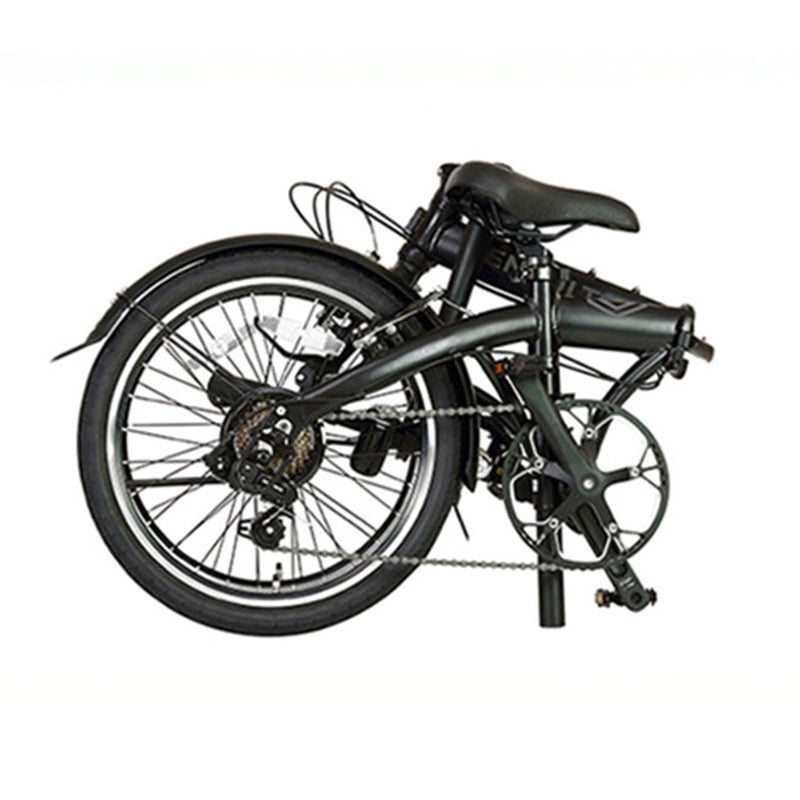 LIGHT10 Black Signature