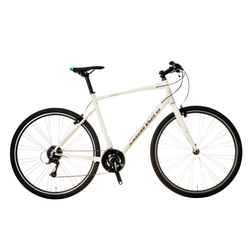 C-SPORT1 [ MY24 YTB53 ] 2024年 550mm