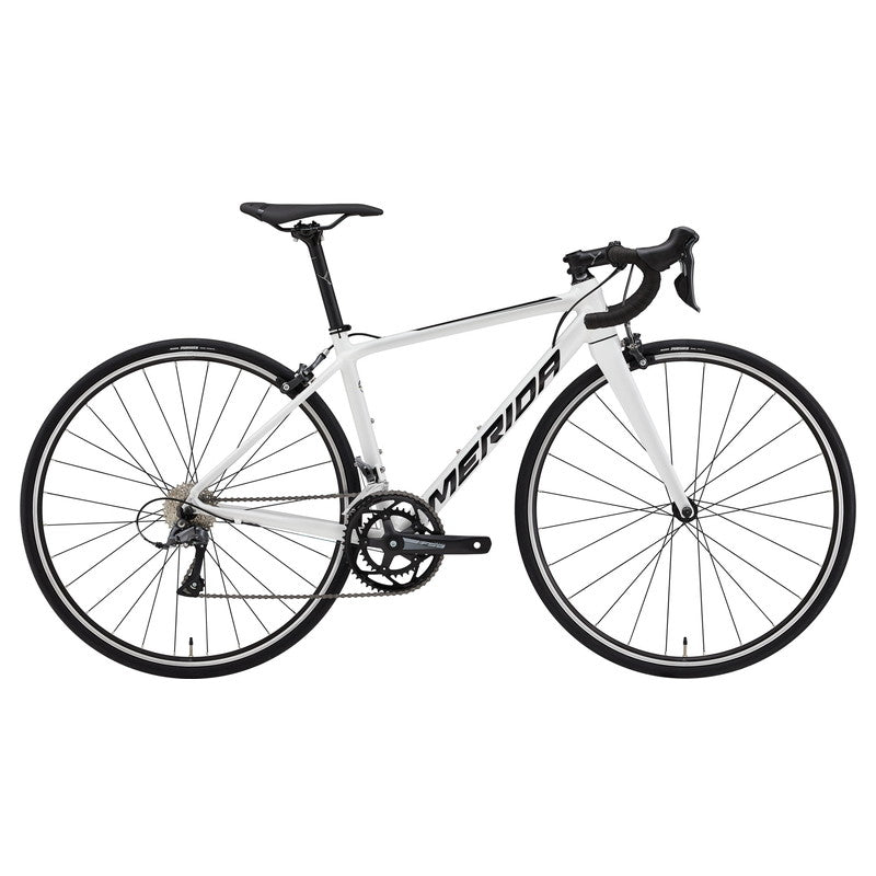 SCULTURA RIM 100 2025年 50cm(S)