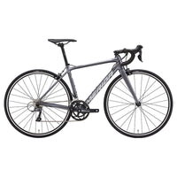 SCULTURA RIM 100 2025年 52cm(SM)